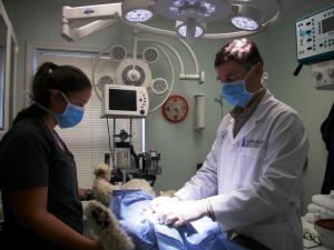 surgery